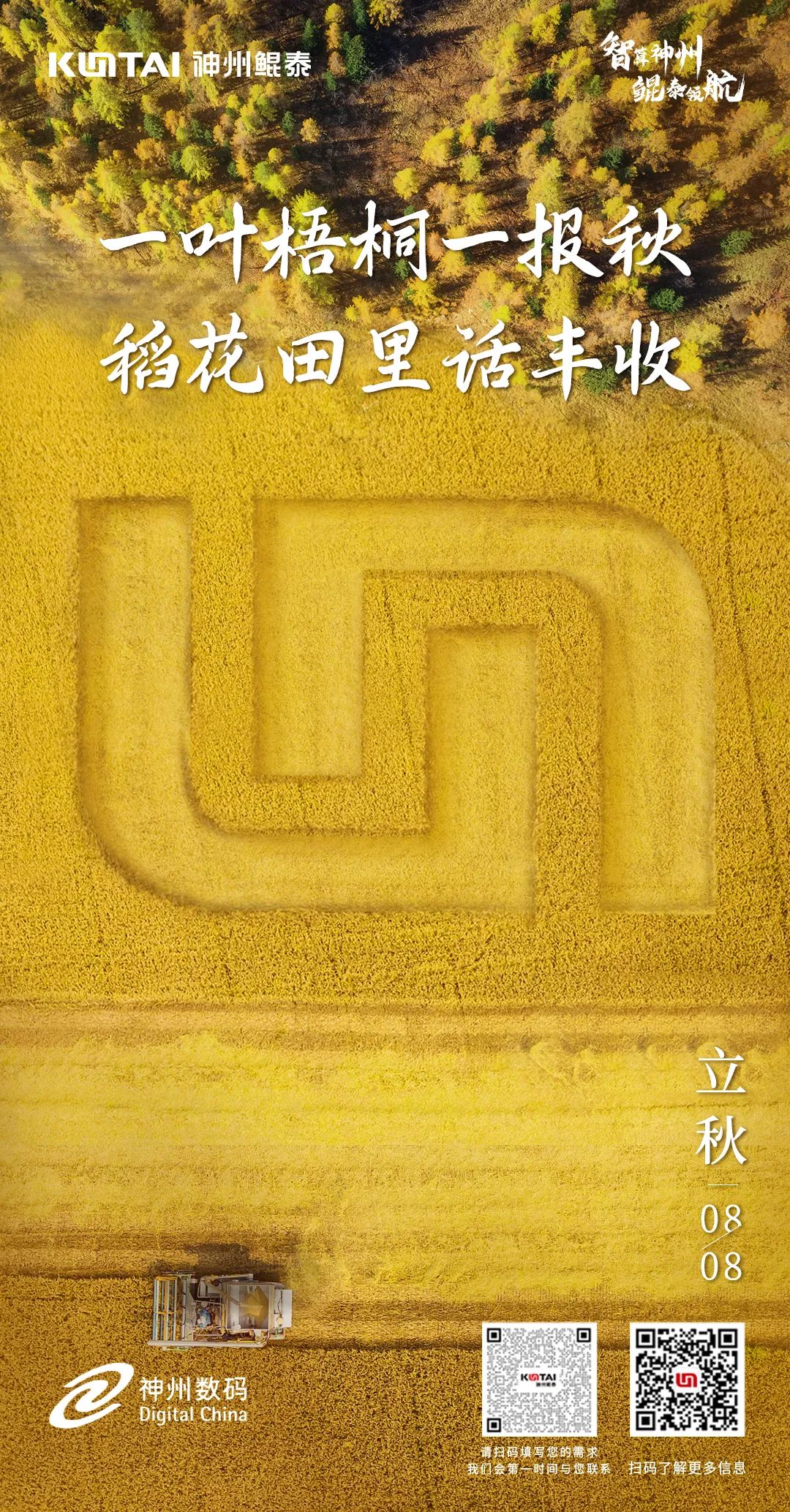 640.jpg